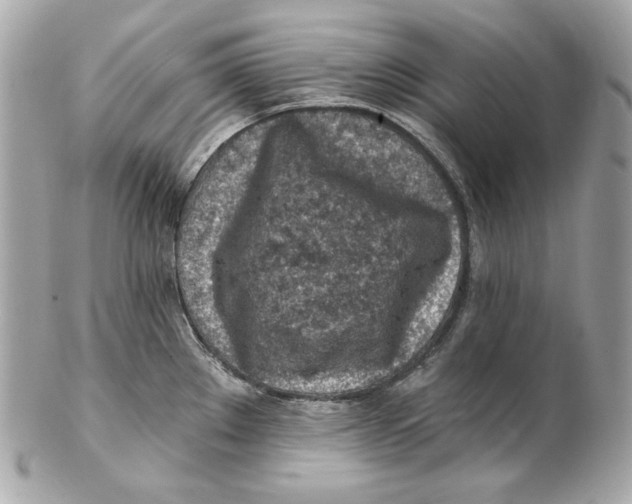 X0000102281289200808151918