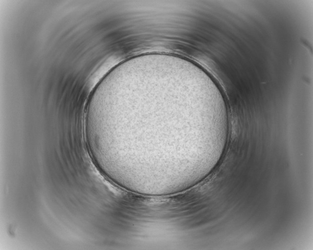 X0000102281290200808151918