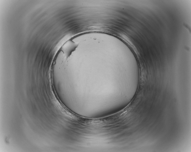 X0000102281291200808151918