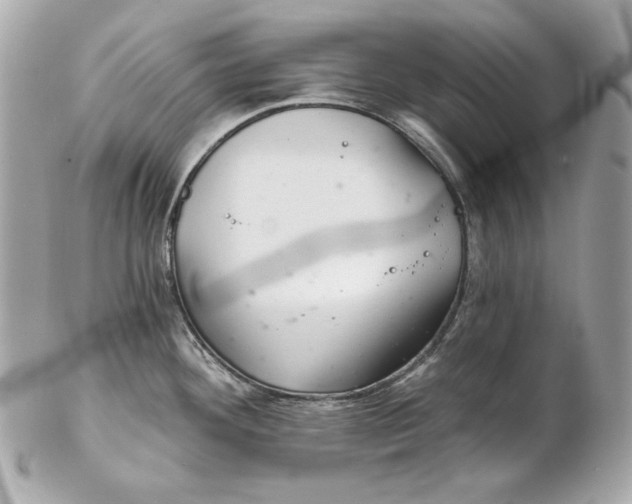 X0000102281292200808151918