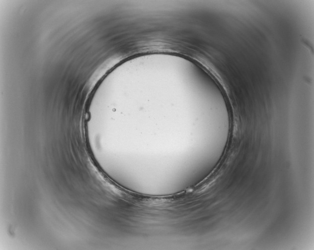 X0000102281293200808151918