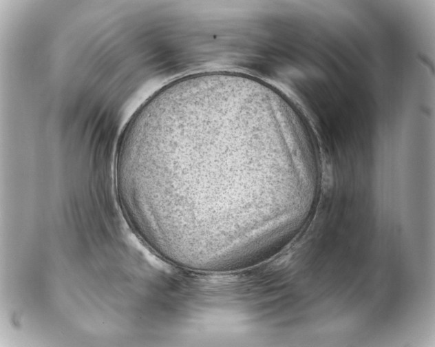 X0000102281294200808151918