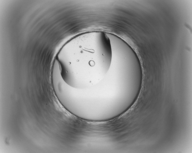 X0000102281296200808151918