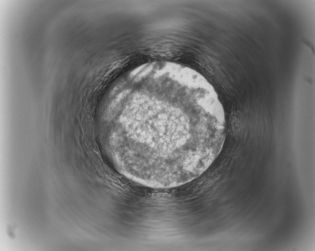 X0000102281297200808151918