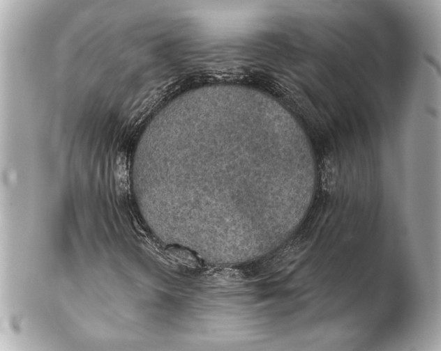 X0000102281298200808151918