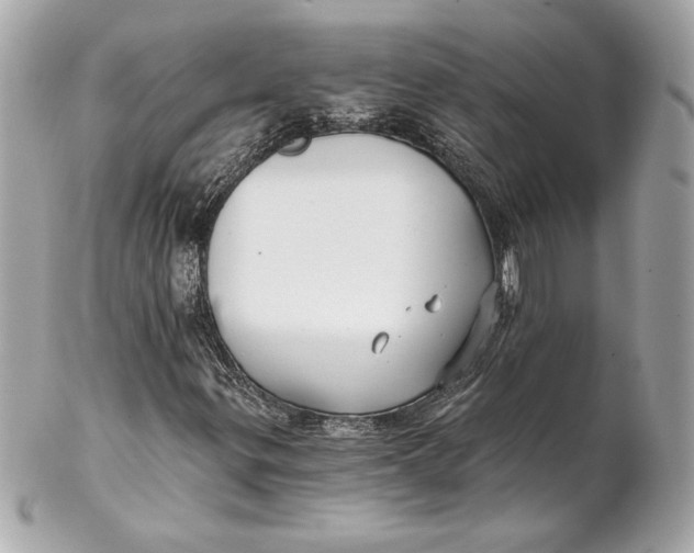 X0000102281299200808151918