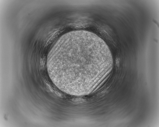 X0000102281300200808151918