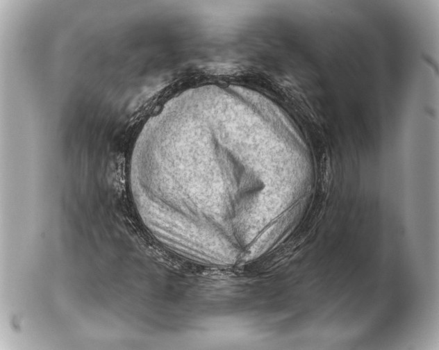 X0000102281301200808151918