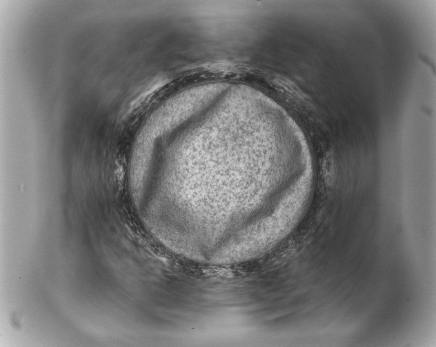 X0000102281302200808151918