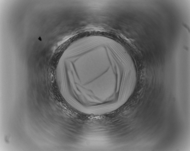 X0000102281303200808151918