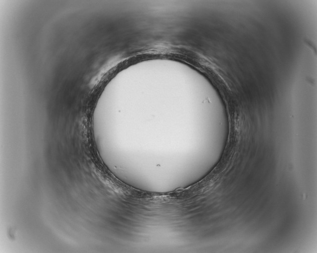 X0000102281304200808151918