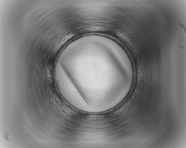 X0000102281305200808151918