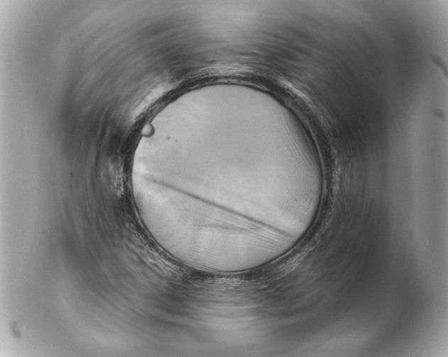 X0000102281306200808151918