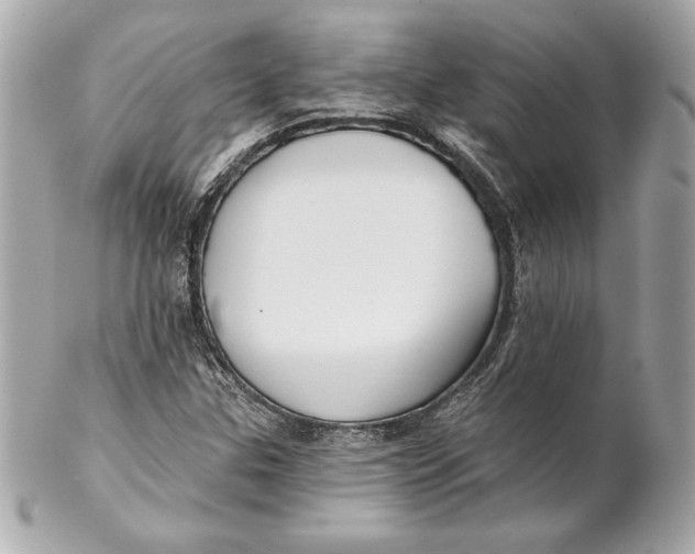 X0000102281307200808151918