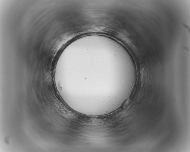 X0000102281308200808151918