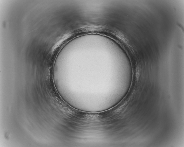 X0000102281309200808151918