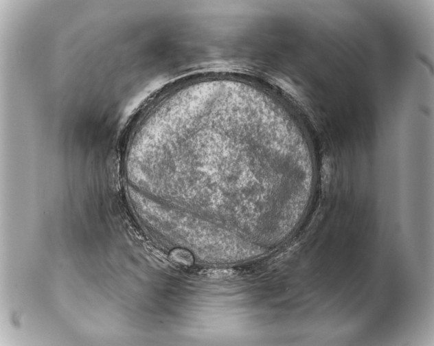 X0000102281310200808151918