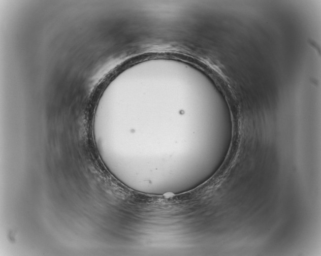 X0000102281311200808151918