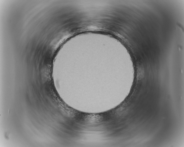 X0000102281314200808151918