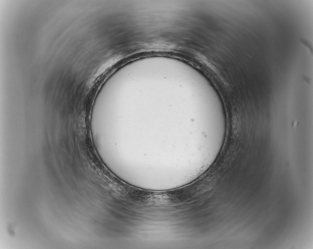 X0000102281315200808151918