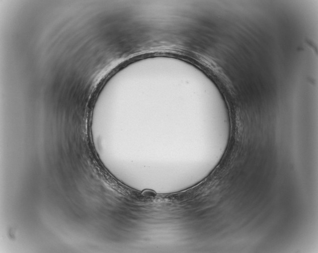 X0000102281316200808151918