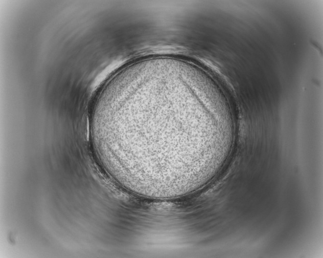 X0000102281317200808151918