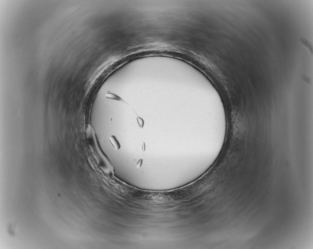 X0000102281318200808151918