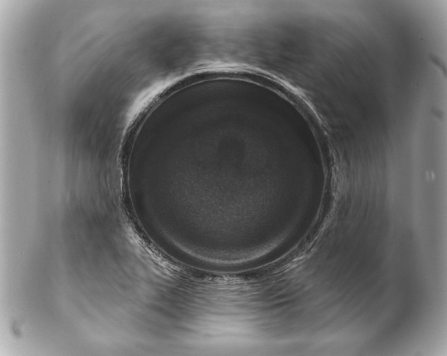 X0000102281319200808151918