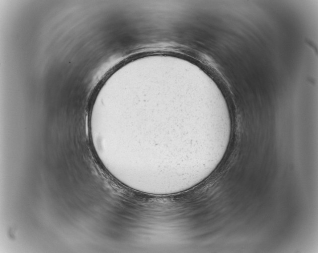 X0000102281320200808151918