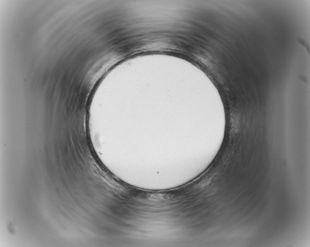 X0000102281322200808151918