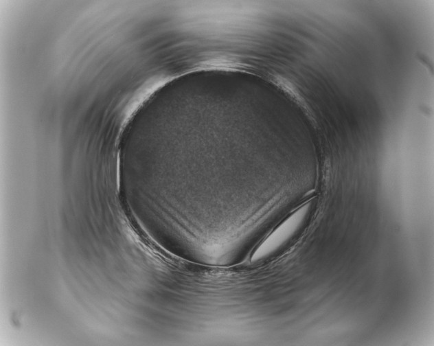 X0000102281323200808151918