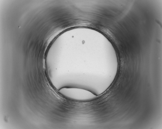 X0000102281324200808151918