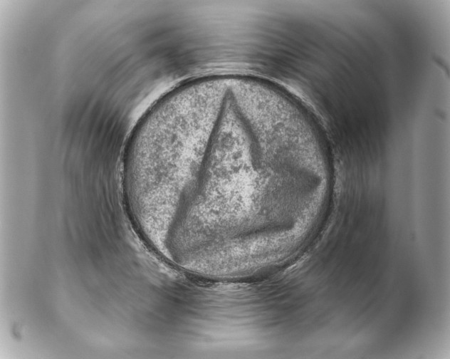 X0000102281325200808151918