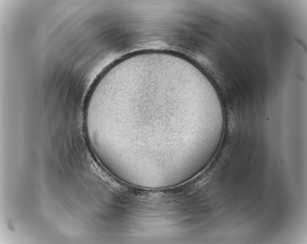 X0000102281326200808151918