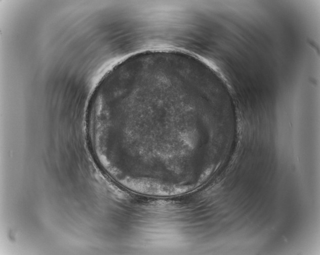 X0000102281327200808151918