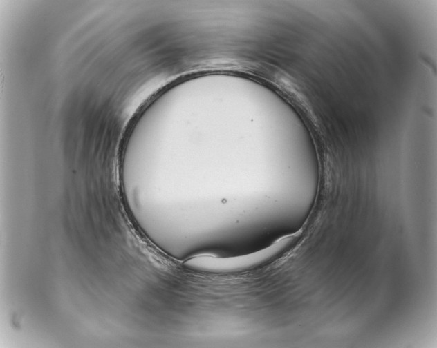 X0000102281328200808151918