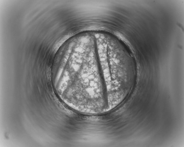 X0000102281329200808151918