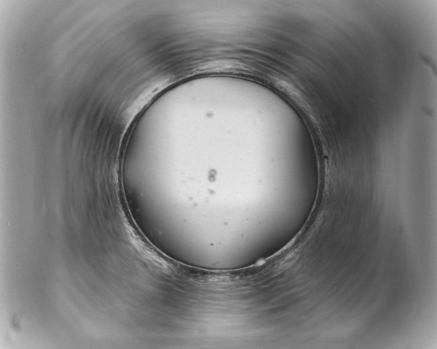 X0000102281330200808151918