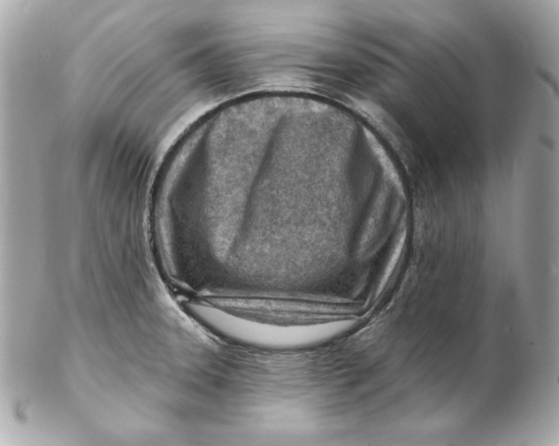 X0000102281331200808151918