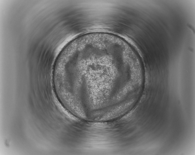 X0000102281333200808151918