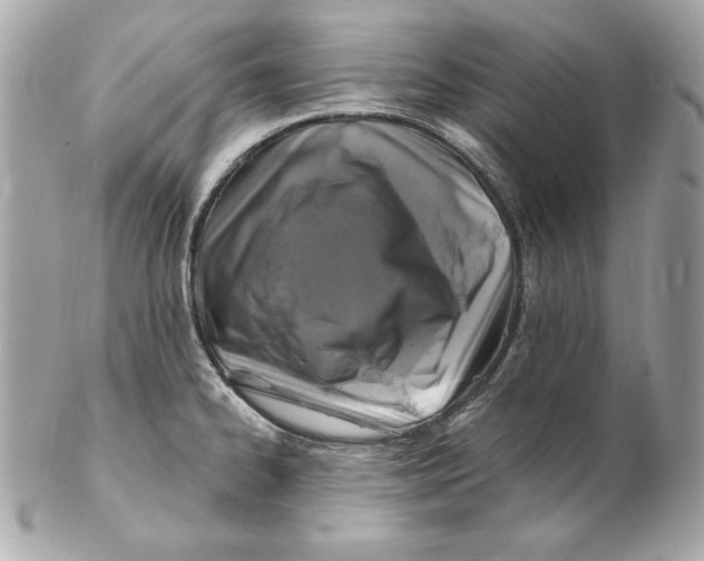 X0000102281334200808151918