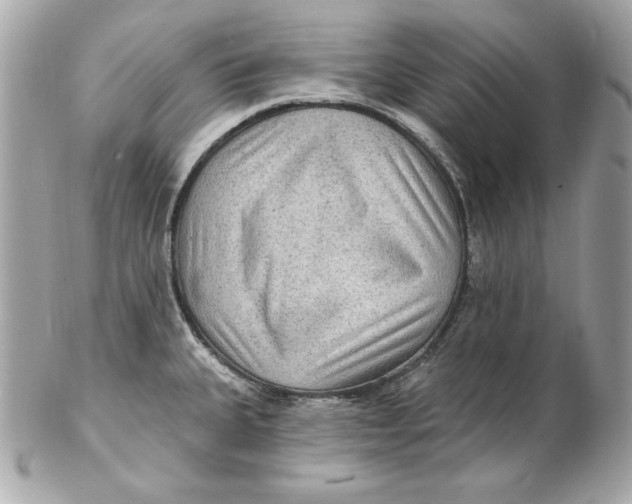 X0000102281335200808151918