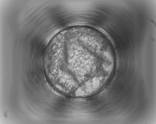 X0000102281337200808151918