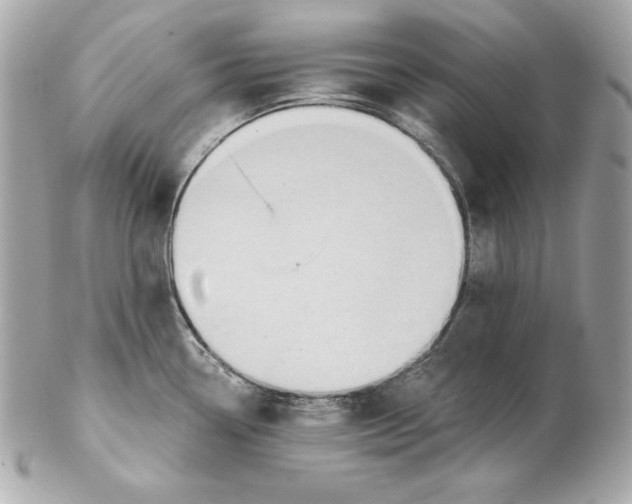 X0000102281338200808151918