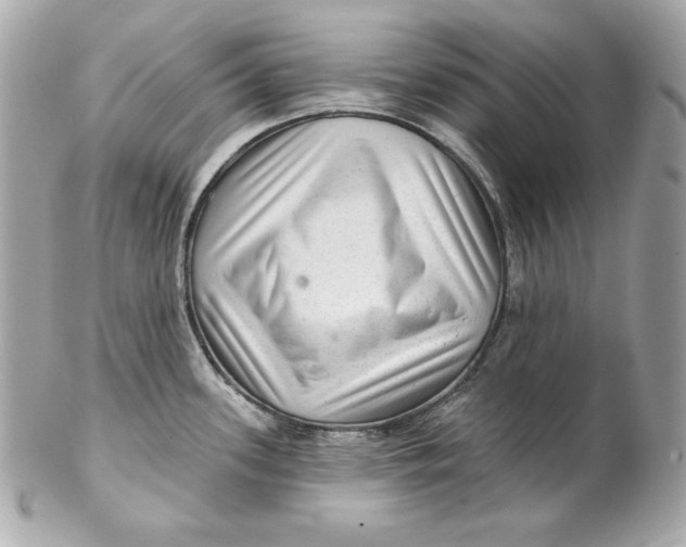 X0000102281339200808151918