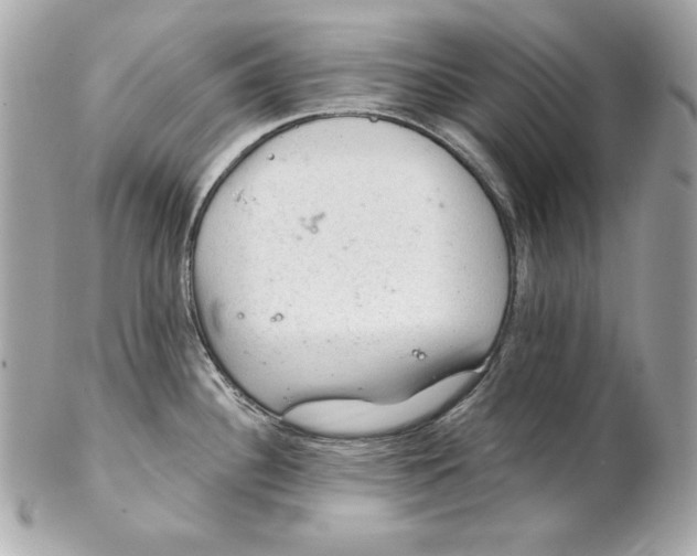 X0000102281340200808151918