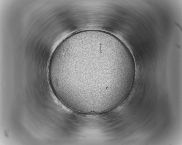 X0000102281341200808151918