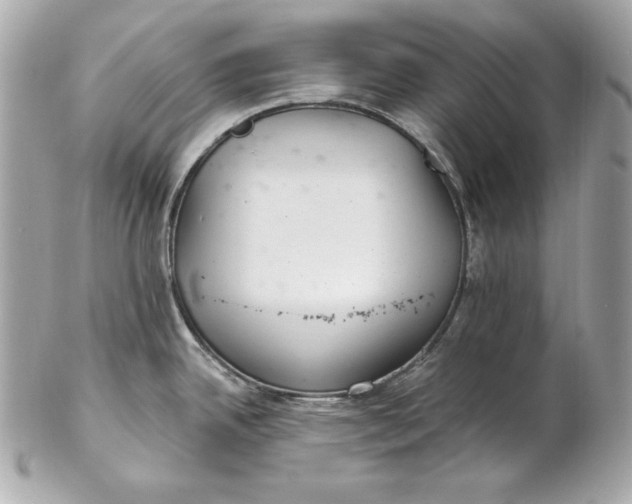 X0000102281342200808151918