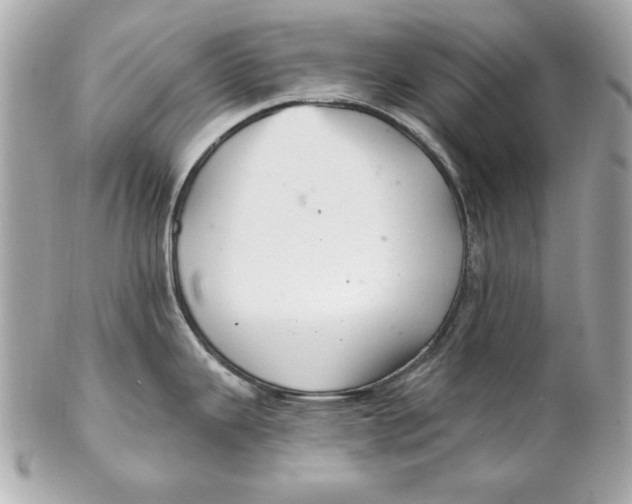 X0000102281343200808151918