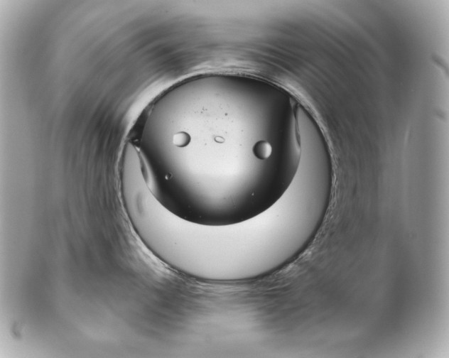 X0000102281344200808151918